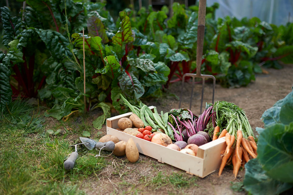 Therapeutic Gardening Intensive 