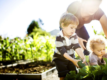 Exciting Changes to Group Therapy: Introducing Haven Family Nights 