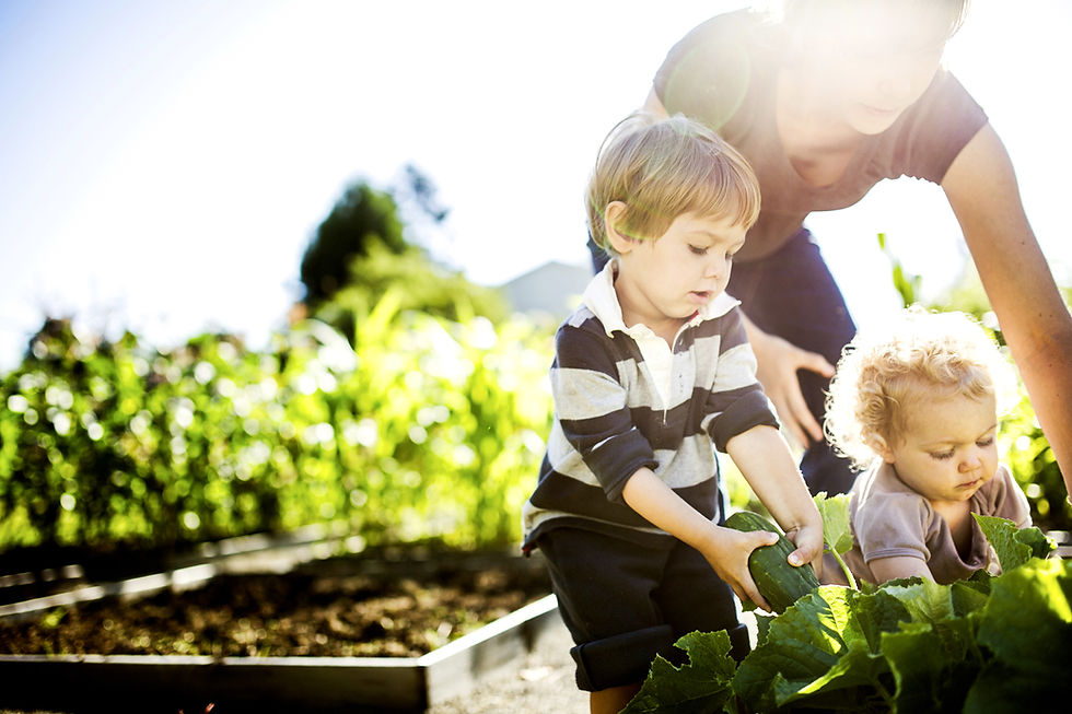 Therapeutic Gardening Intensive 