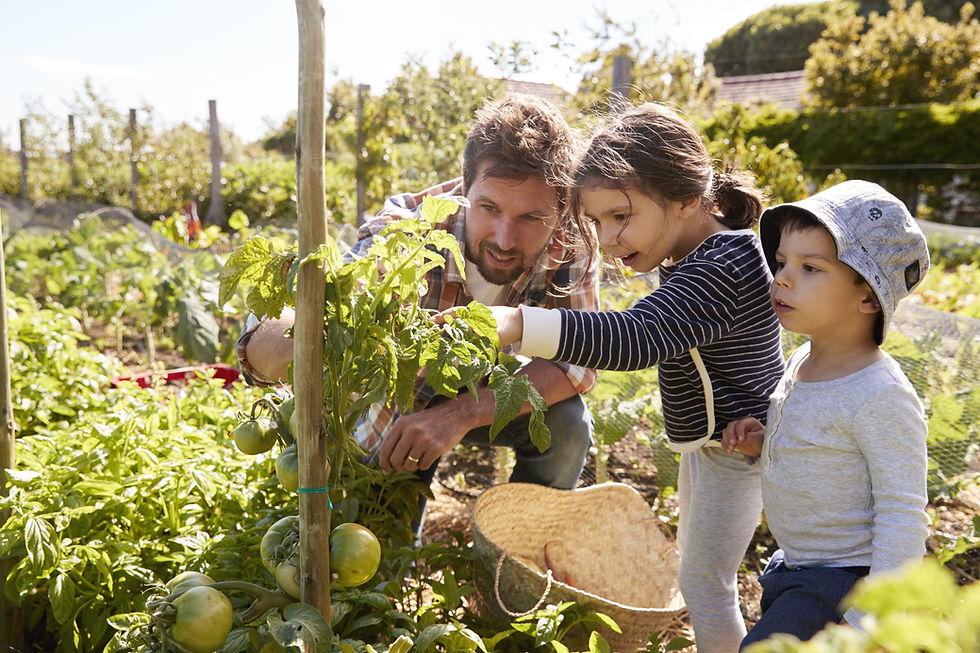 Therapeutic Gardening Intensive 